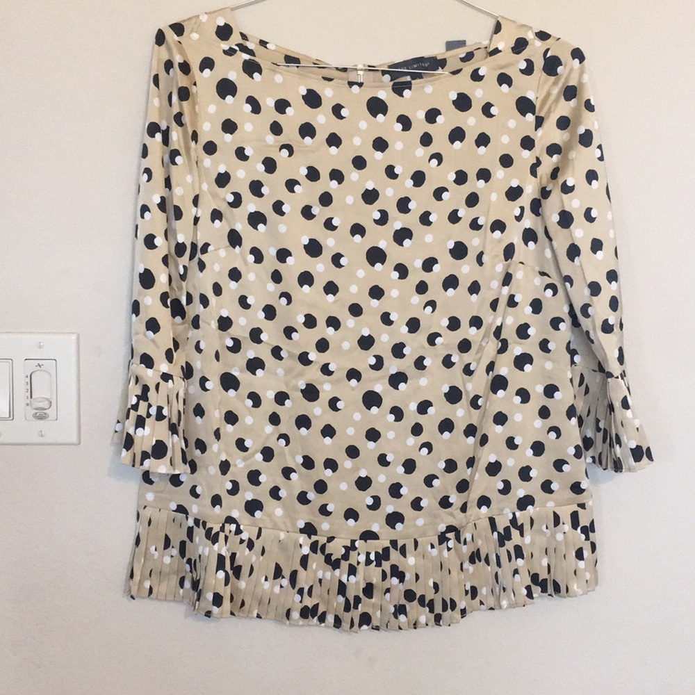 The Limited female top